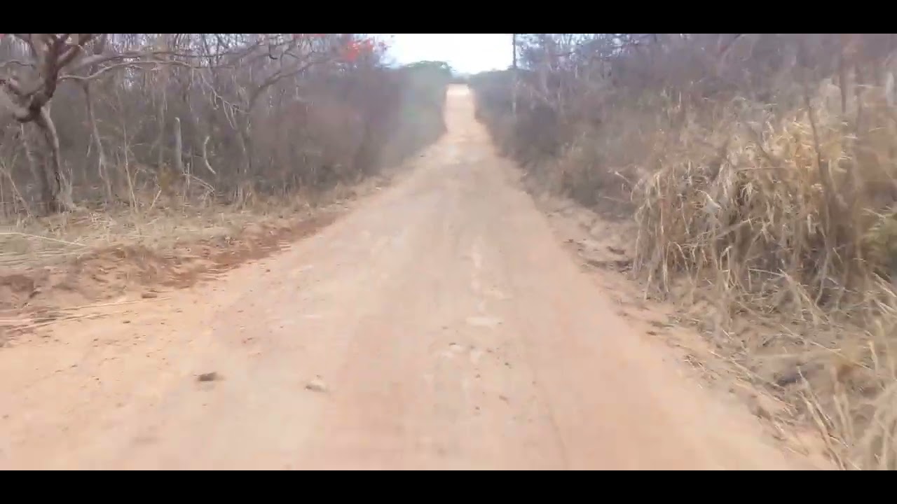 Nas estradas de terra do interior do Ceará 