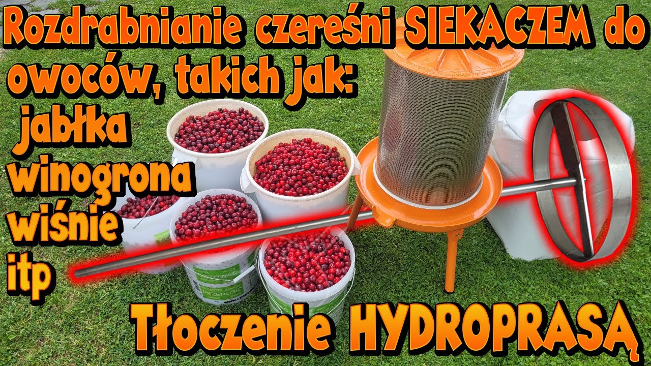 Rozdrabnianie czereśni 🍒 SIEKACZEM do owoców:winogrona, jabłka, wiśnie🍇🍎🍓 Wyciskanie soku z czereśni