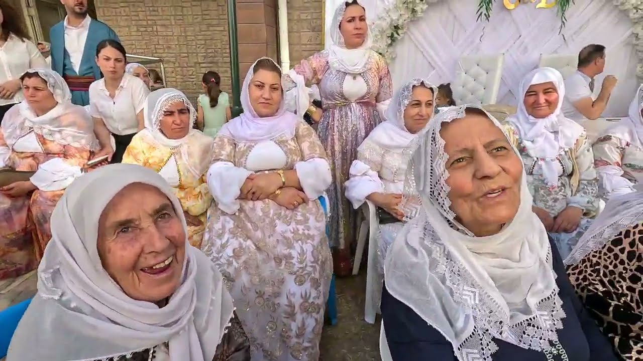 Daweta Darvanî,Sebrî,Cûded)ŞIRNEX