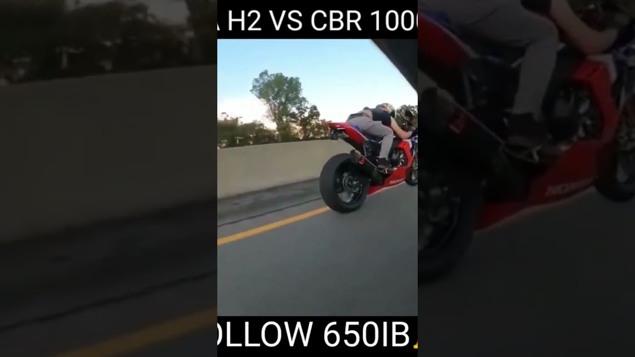 NINJA H2 vs CBR 1000RR FIREBLADE #shorts #nsdkrider#zx10r