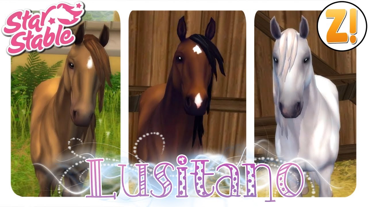Star Stable [SSO]: Lusitano - NEUE Rasse [PFERDEKAUF] [DEUTSCH]