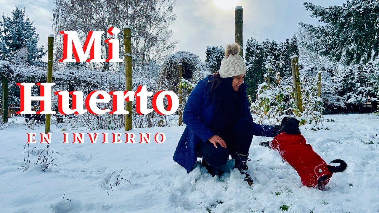 Tour por mi Huerto en Invierno para disfrutar de estos bellos paisajes en la nieve