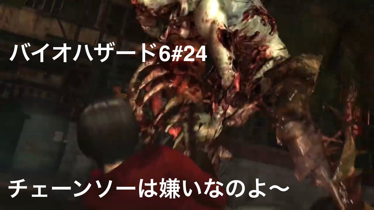 [BIOHAZARD 6]#24
