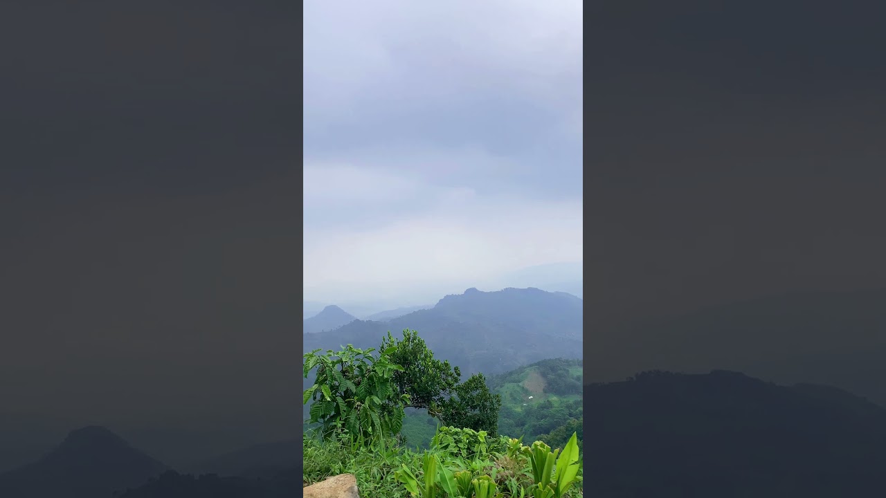 Puncak Gunung Butik #gunung #butik #pemandangan #alam #hiking #petualangan #pendaki #pendakigunung