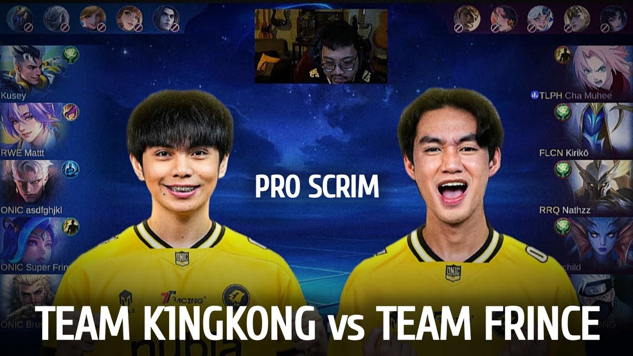 TEAM K1NGKONG vs TEAM SUPER FRINCE | PRO PLAYERS SCRIM WITH WOLFCASTS