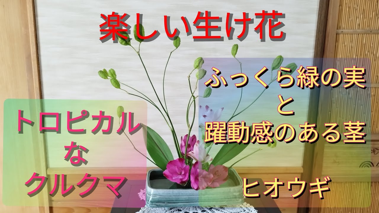 【楽しい生け花】表情豊かなヒオウギをトロピカルなクルクマと生けてみました【自由花】