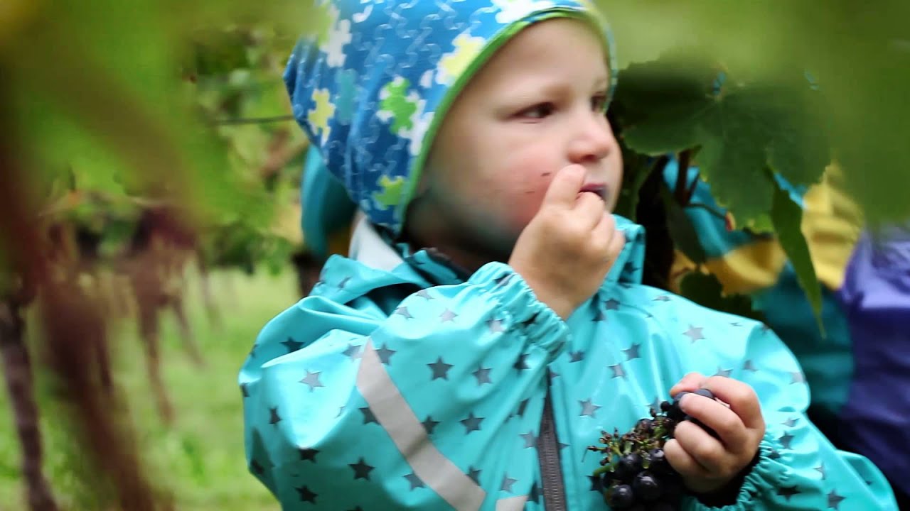 Die WG H&uuml;gelheim......ein Film von Chili Clips Image Filme