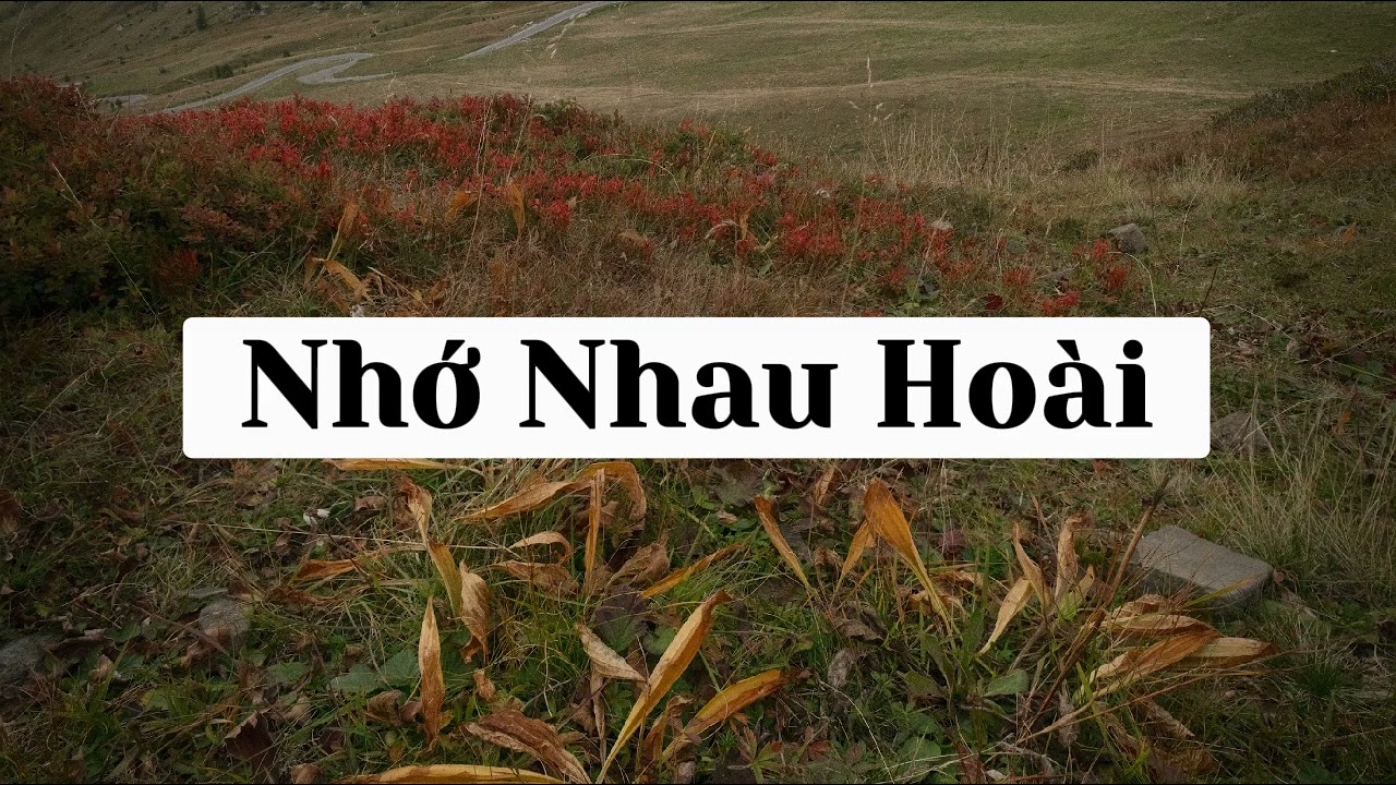 Nhớ Nhau Hoài - Beat & Karaoke by Vân Hùng Cover