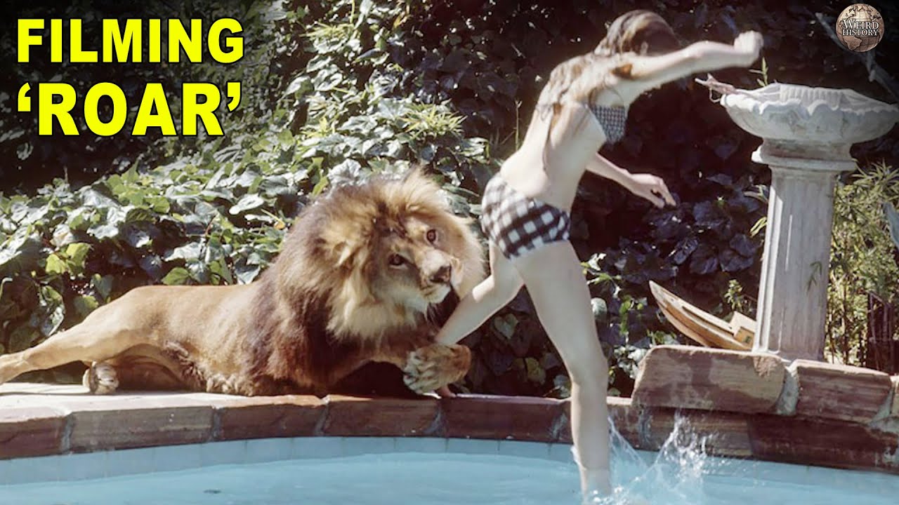 The Insane Story Behind the Movie 