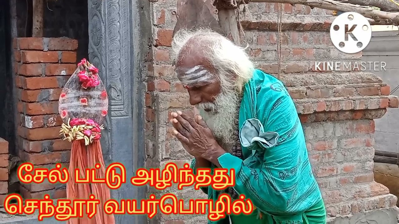 சேல் பட்டு அழிந்தது செந்தூர் வயர்பொழில் கந்தர் அலங்காரம்