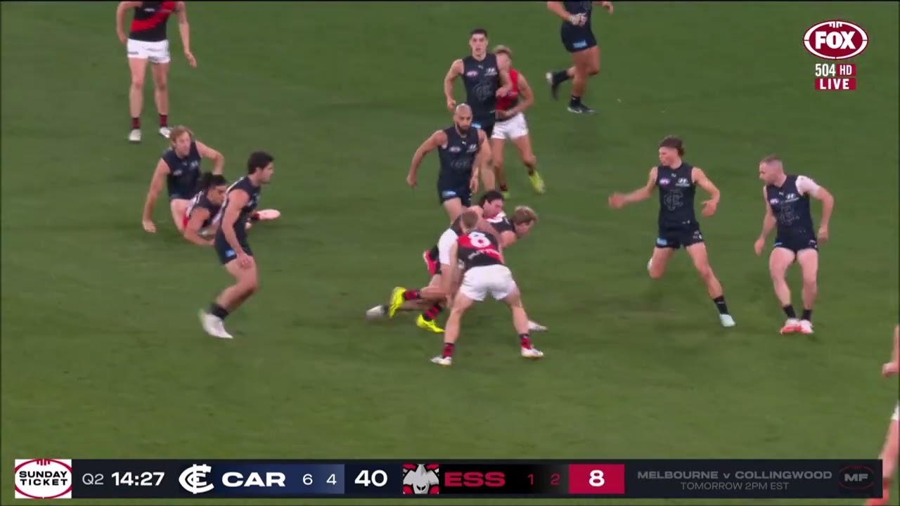 Ollie Hollands - AFL 2025 Round 13 Highlights - Carlton vs Essendon
