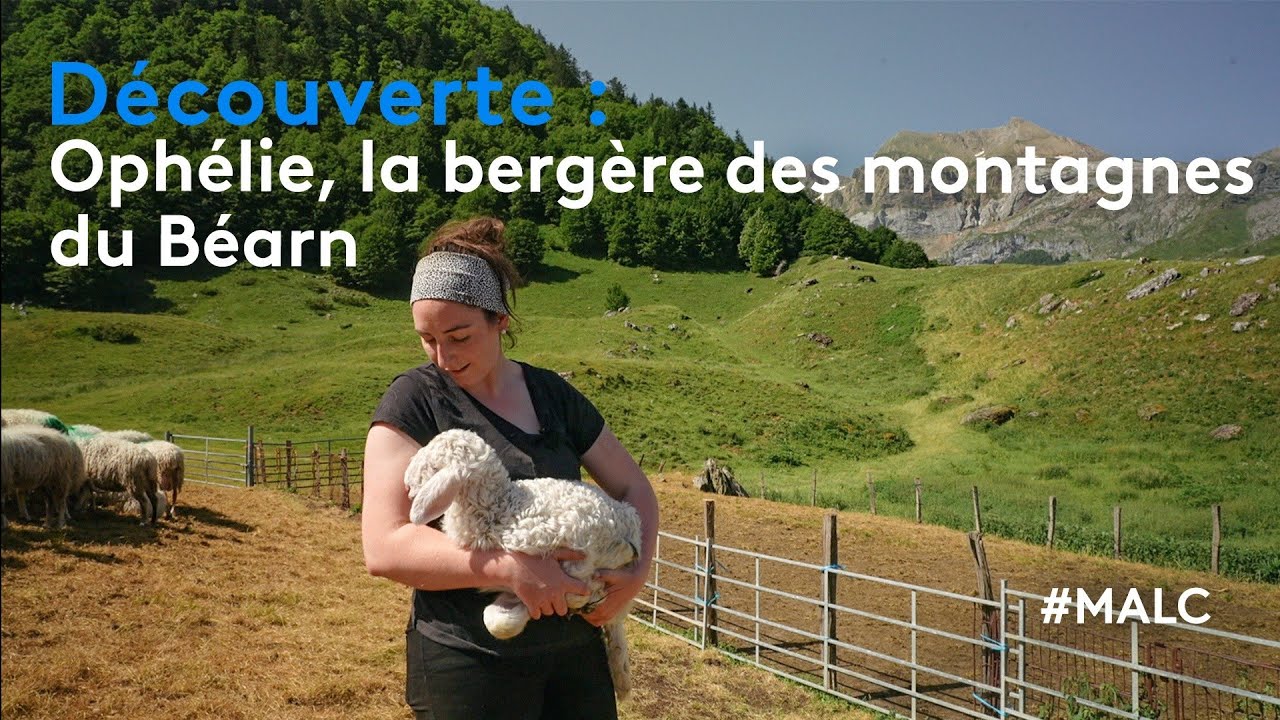 Découverte : Ophélie, la bergère des montages du Béarn