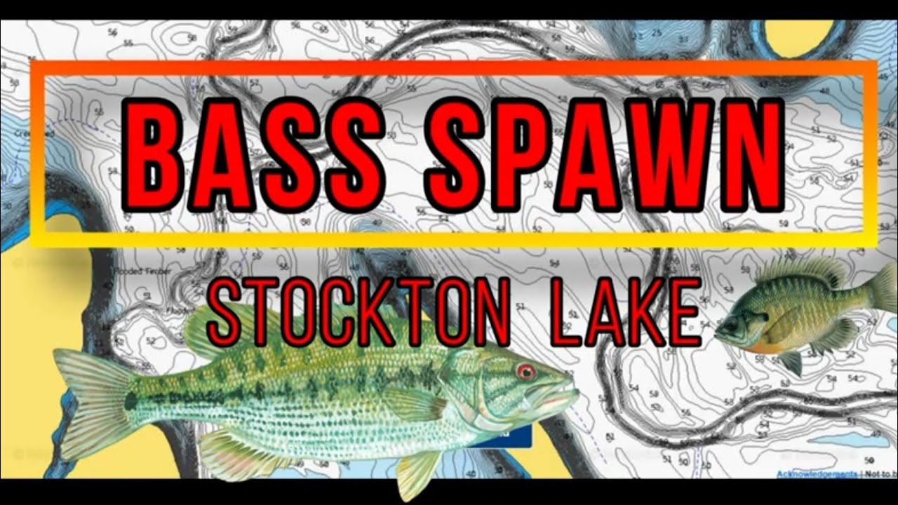 BASS SPAWN BEAKDOWN | Stockton Lake