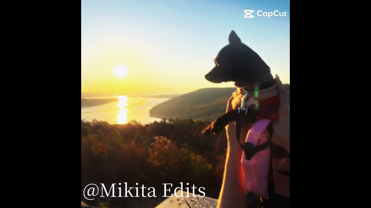 Mika