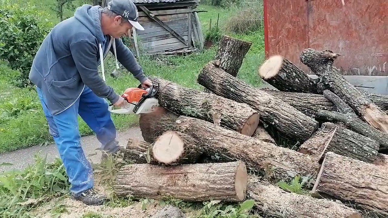 VIATA MUNCA LA TARA 2024