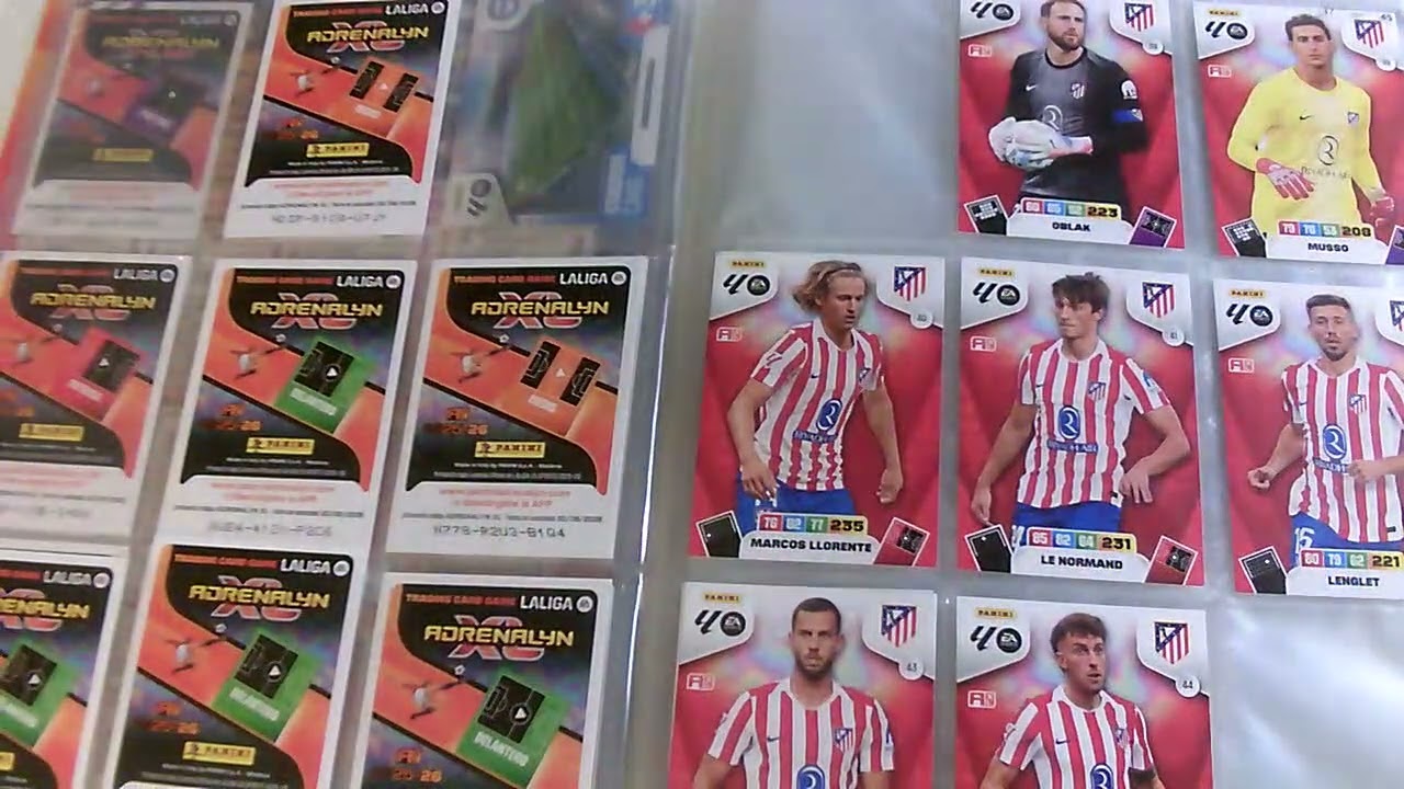 colocando cromos 3