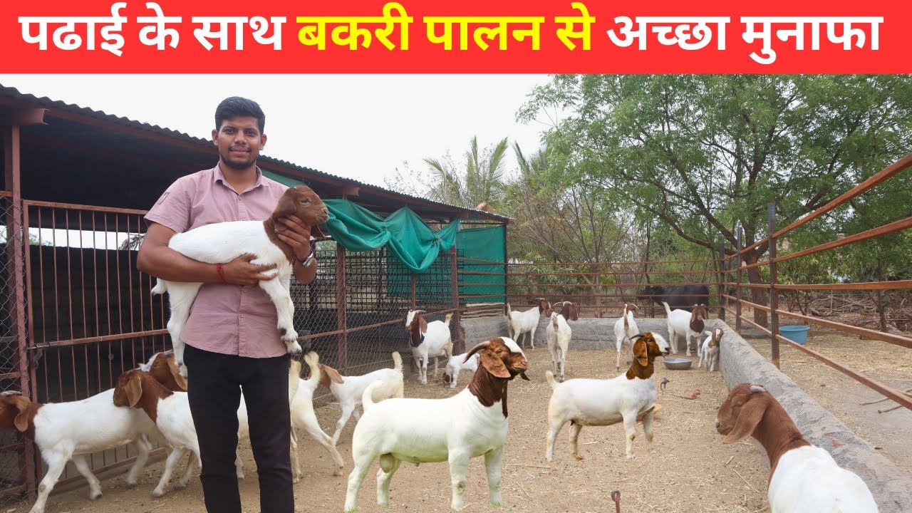 बकरी पालन से सालाना कमाई 8 लाख @@@ IFT