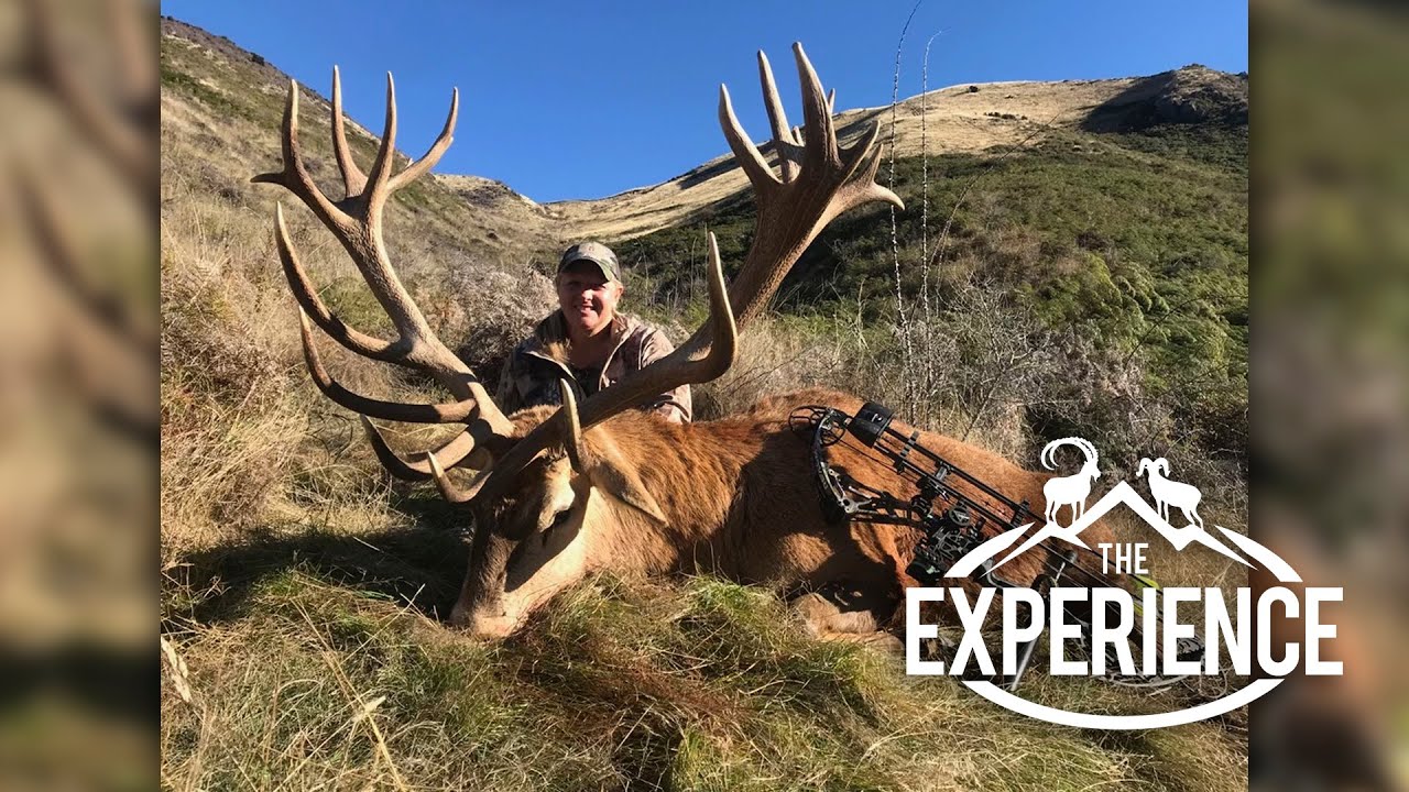 The Archery Red Stag EXPERIENCE