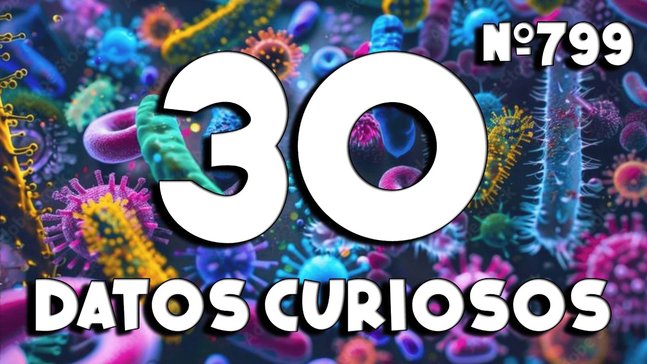 30 DATOS CURIOSOS y COSAS QUE NO SAB&Iacute;AS ⏰😲 799 #curioman&iacute;atv