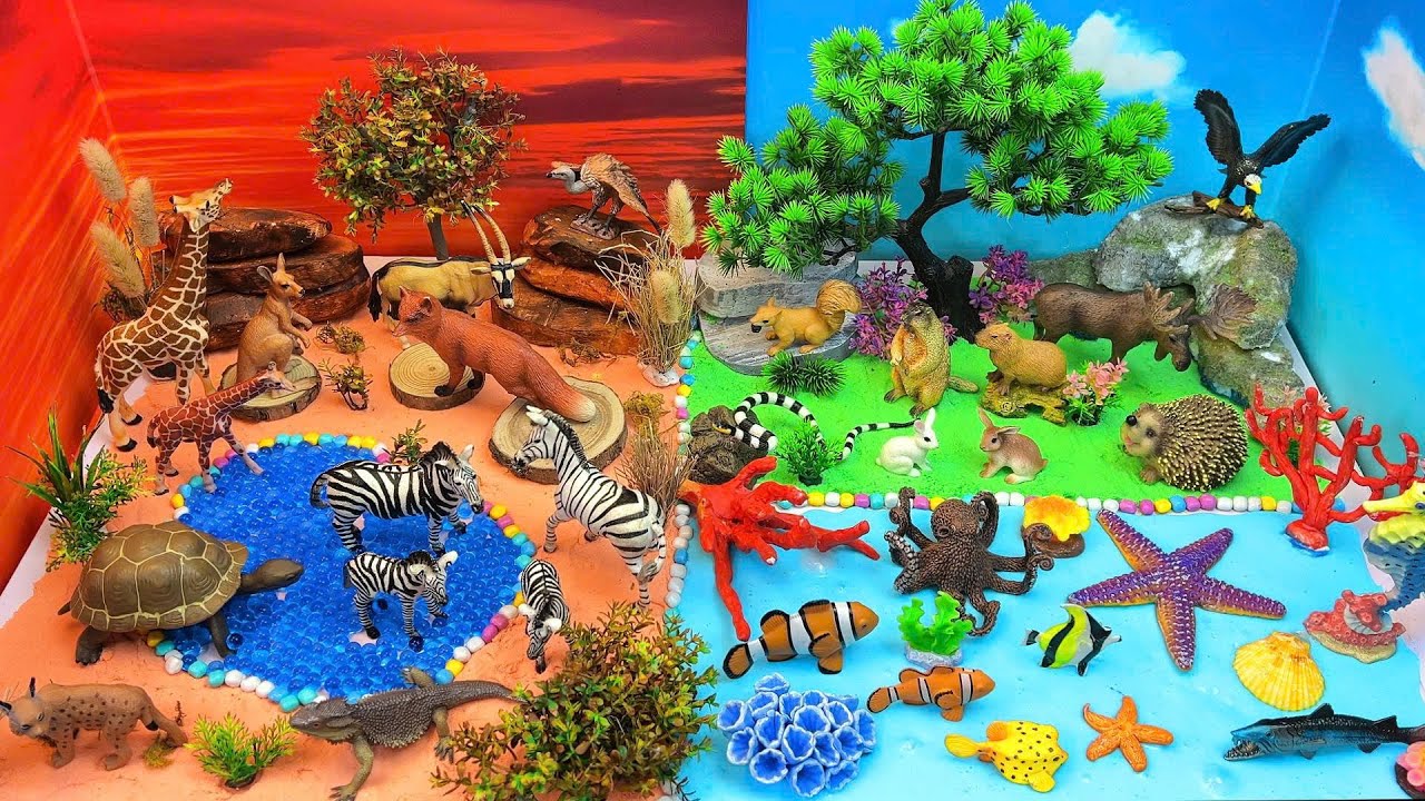 Чудесно! Удивительный мир животных 🌈 | Исследуйте диких животных и морских обитателей 🐾🌊