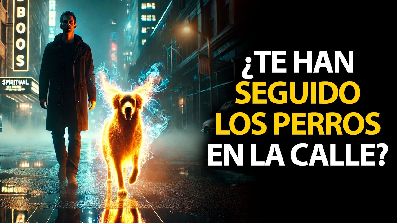Significado Espiritual de Por Qué Los Perros Se Te Acercan en La Calle