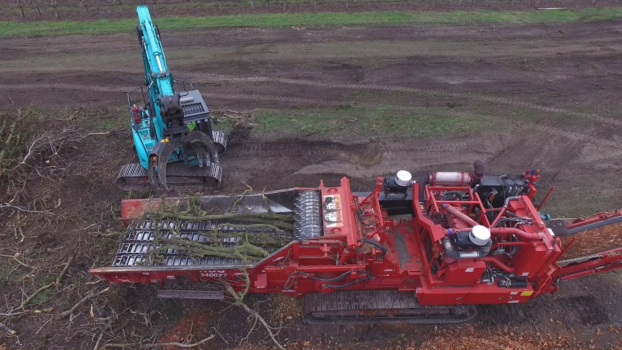 Morbark 3400X Mulcher reduces old Pear trees to wood chips in seconds!