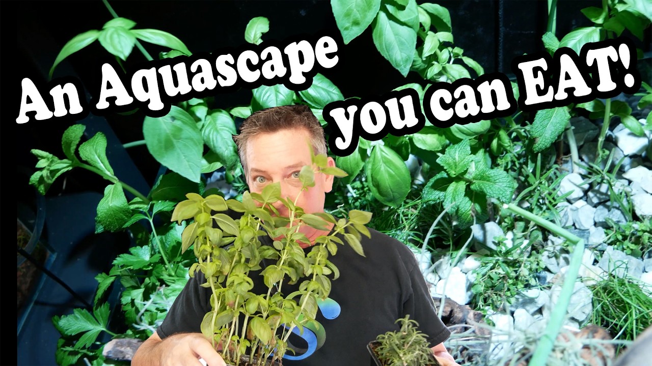 Herb Garden Aquarium | Complete Build (I Broke the Hardscape)
