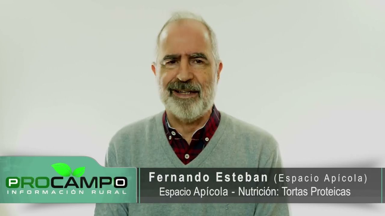 Tortas Proteicas Abril-2024 Espacio Ap&iacute;cola