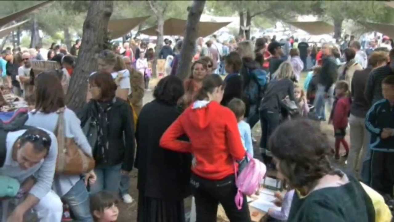 Grannus village gaulois 2013