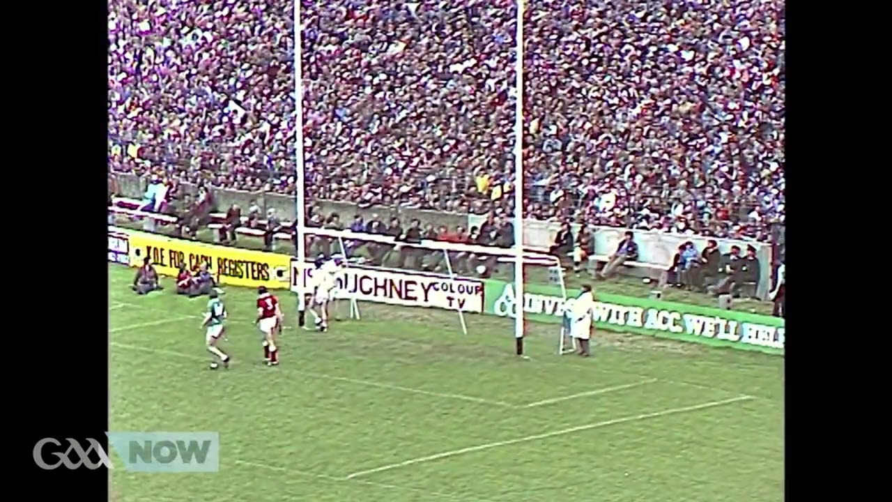 A tribute to Limerick's brilliant back-to-back Munster hurling champions of 1980 & 1981