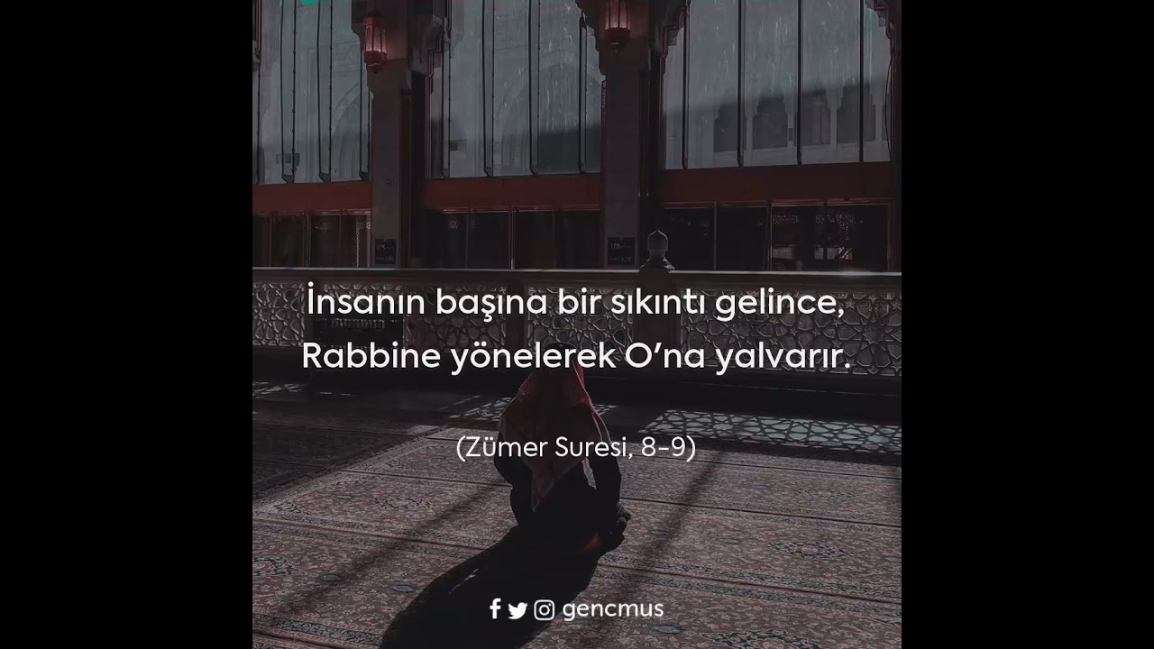 Z&uuml;mer Suresi/8. ve 9. Ayetler