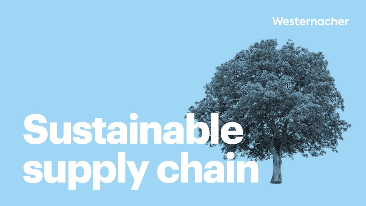 How to build a sustainable supply chain.