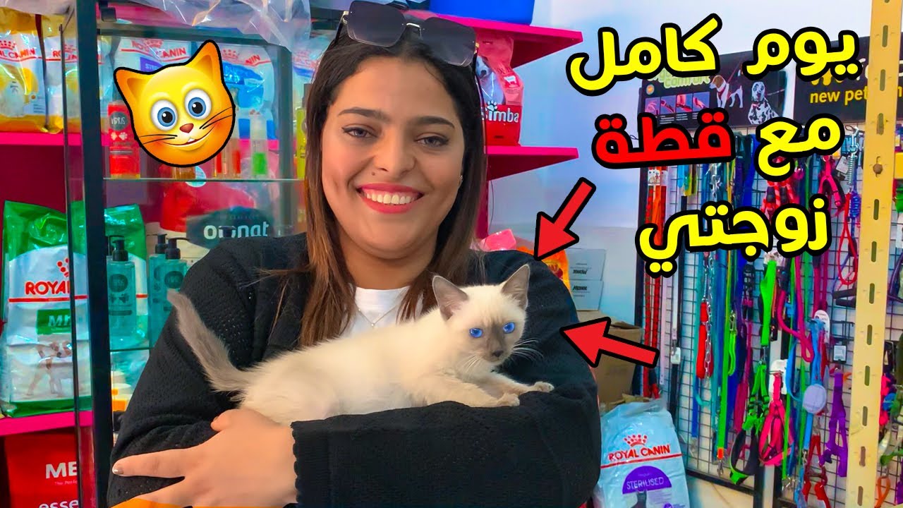 تحدي  يوم كامل مع قطة زوجتي 😱 فصالون الحيوانات 🐱 ندماتنا 😡