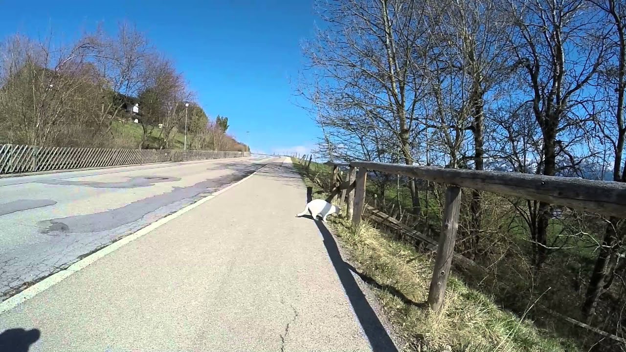 Fachklinik Enzensberg Teil 1 - Hopfen am See im Ostallgäu