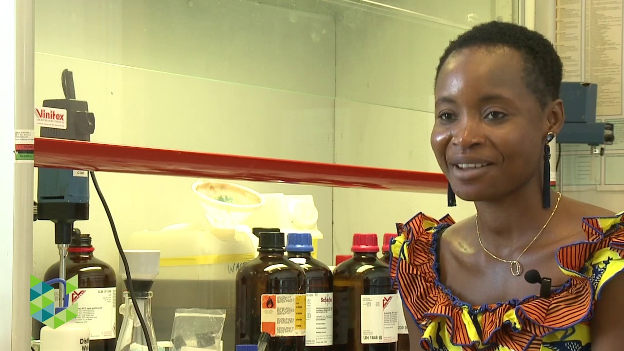 Nea Fatimata : étude phytochimique de plantes médicinales