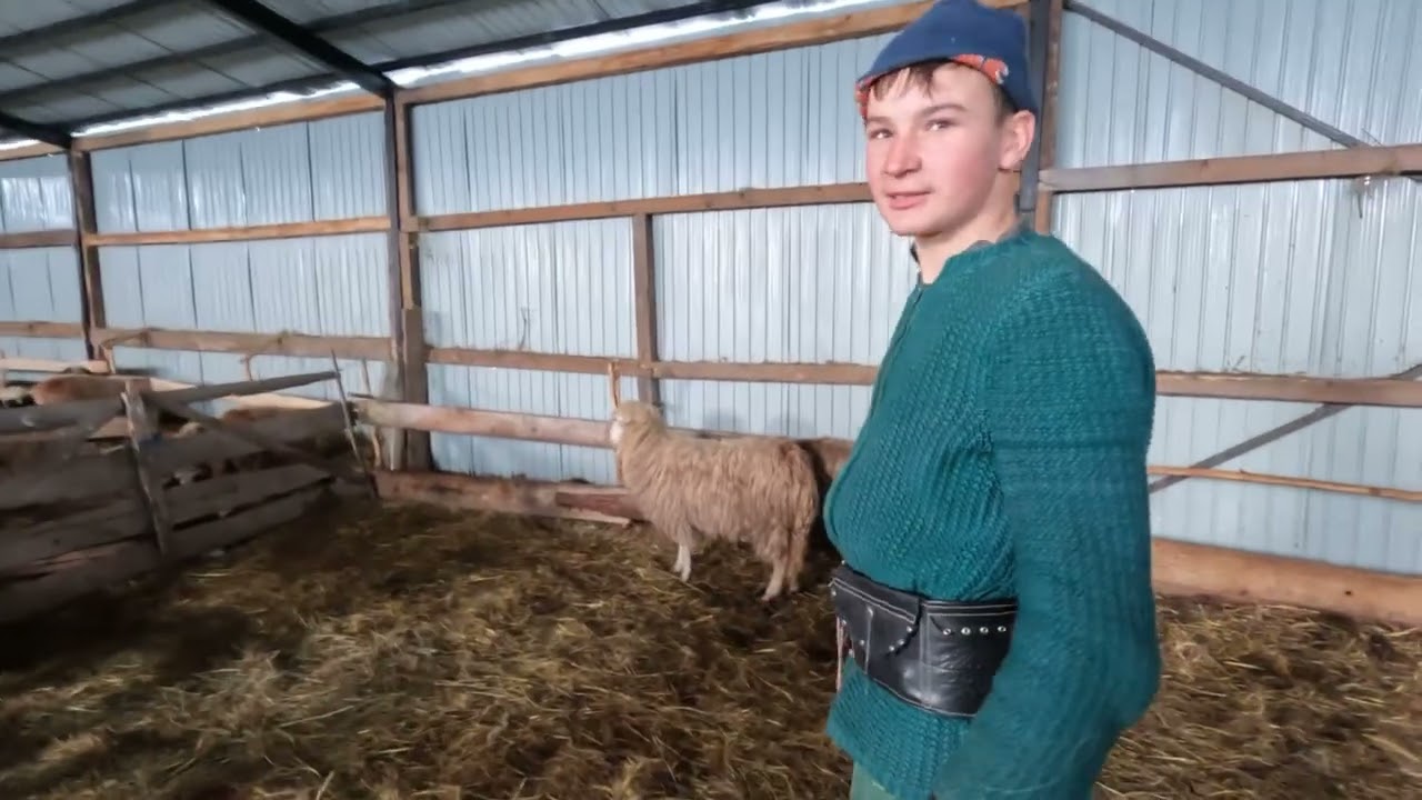 Tânărul Andrei Pop din Ragla-La 15 Ani Iubește Oile și Câini -A Văzut Răutatea Oamenilor-Felicitări 