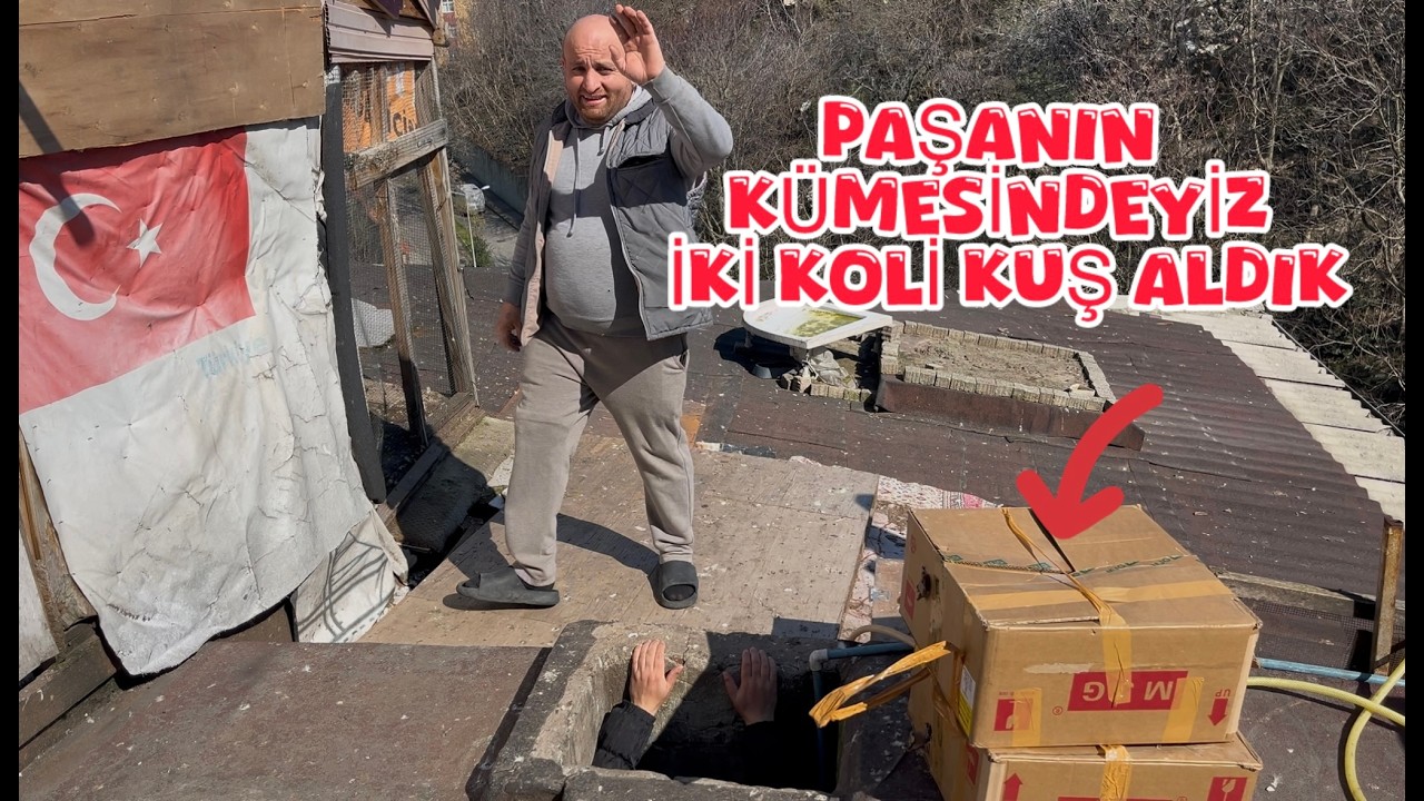 ALDIĞIMIZ KUŞLARI PAŞANIN K&Uuml;MESİNE GETİRDİK ( İKİ TANESİ KA&Ccedil;TI )