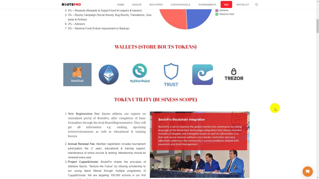 ICO BoutsPro Project  - ico hot 2018