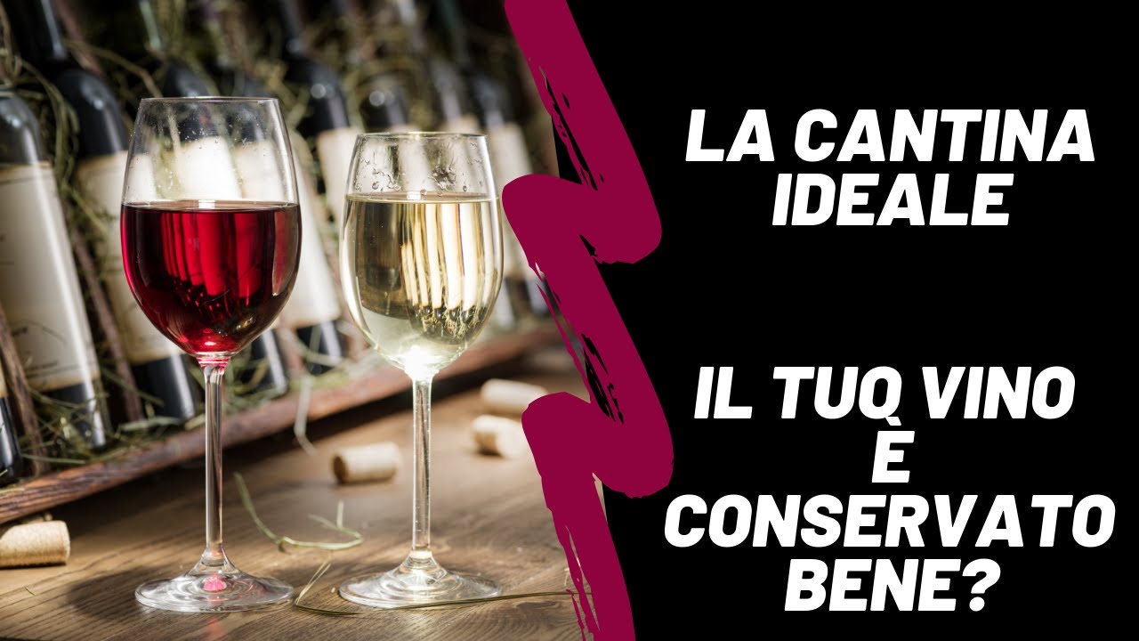 Cantina vini (1 di 2) - Come conservare perfettamente il vino - Enogastronomia facile