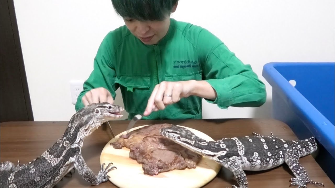 オオトカゲ達と牛肉ステーキを一緒に食べてみた結果...楽しすぎたw