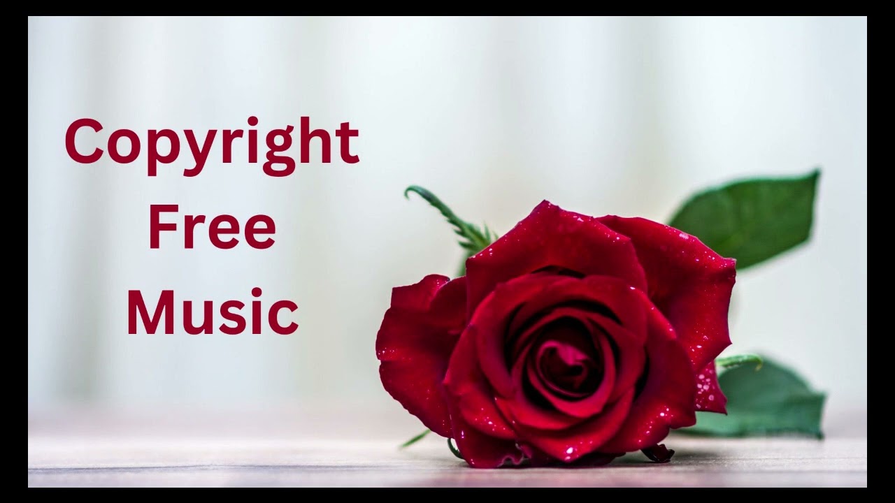 Soothing Romantic Relaxing Music (One Hour Loop)