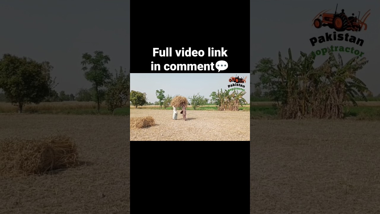 Part2 fait 480 tractor working in village#tractor #fait480 #tractorperformance #pakistantoptractor
