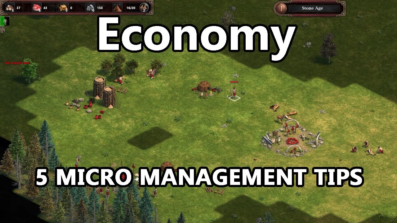 5 Tips on Economy Micromanagement