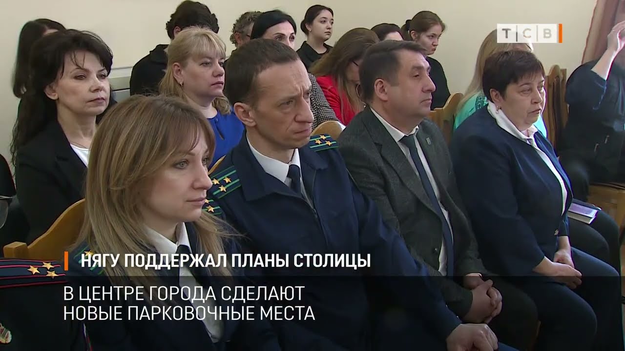 Нягу поддержал планы столицы