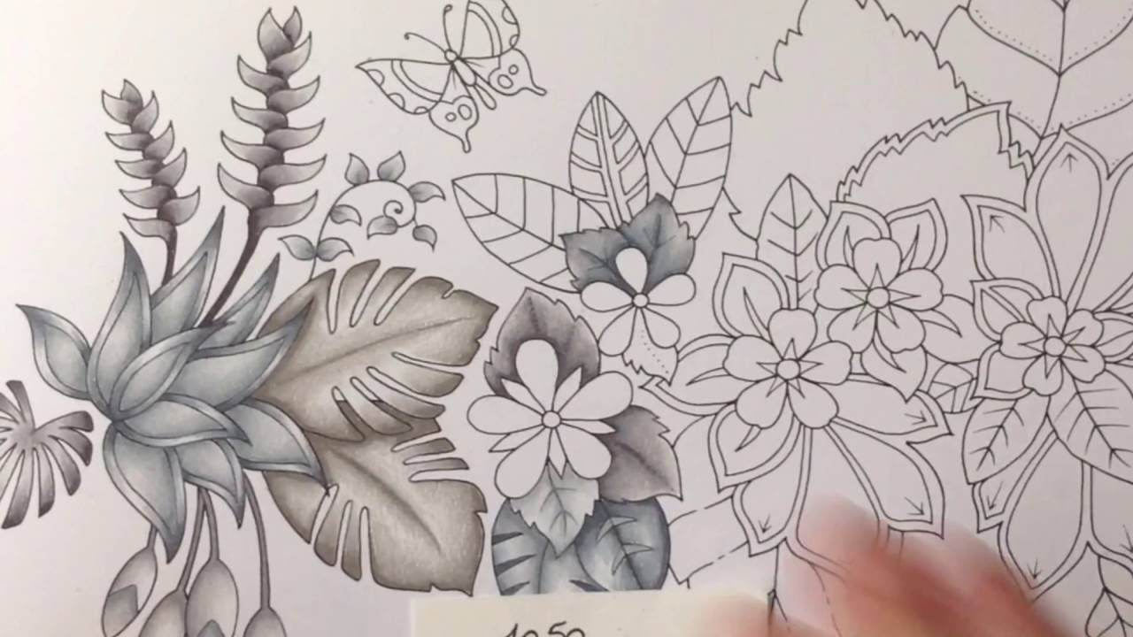MAGICAL JUNGLE - Johanna Basford - part 2 - prismacolor pencils - color tutorial