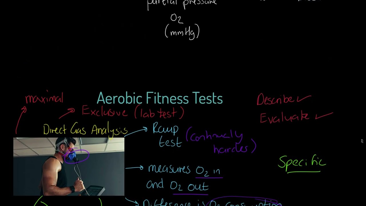 OCR A-level PE: Aerobic Fitness Testing