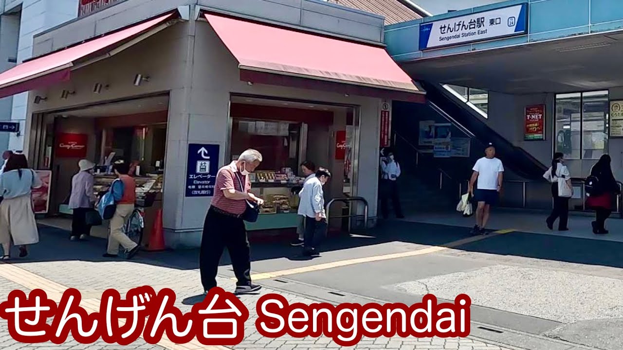 【せんげん台】4K 大雨の浸水でニュースになったせんげん台の街を歩く/Stroll through the Sengendai, which has been repeatedly flooded