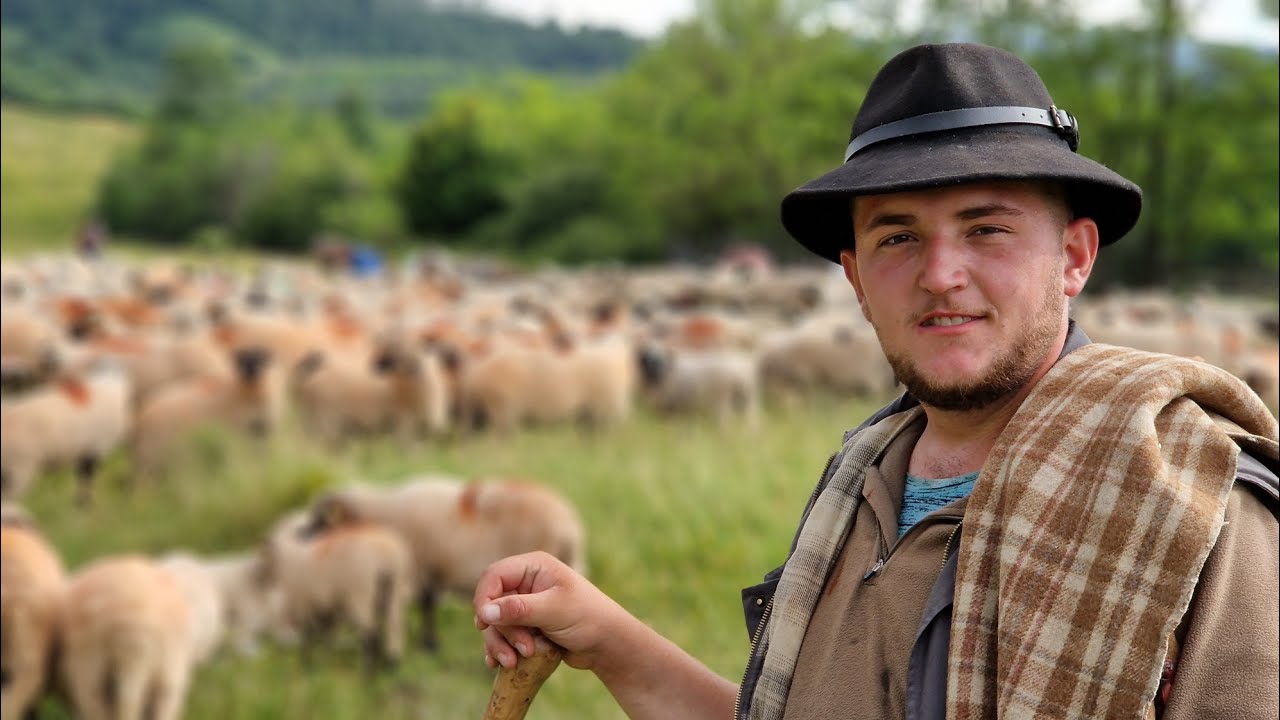 URCATUL OILOR ÎN MASIVUL RETEZAT ALĂTURI DE TÂNĂRUL DORIN PĂRĂU