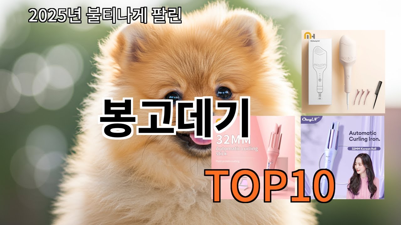 알리 봉고데기 실사용 기준 무난하게 추천