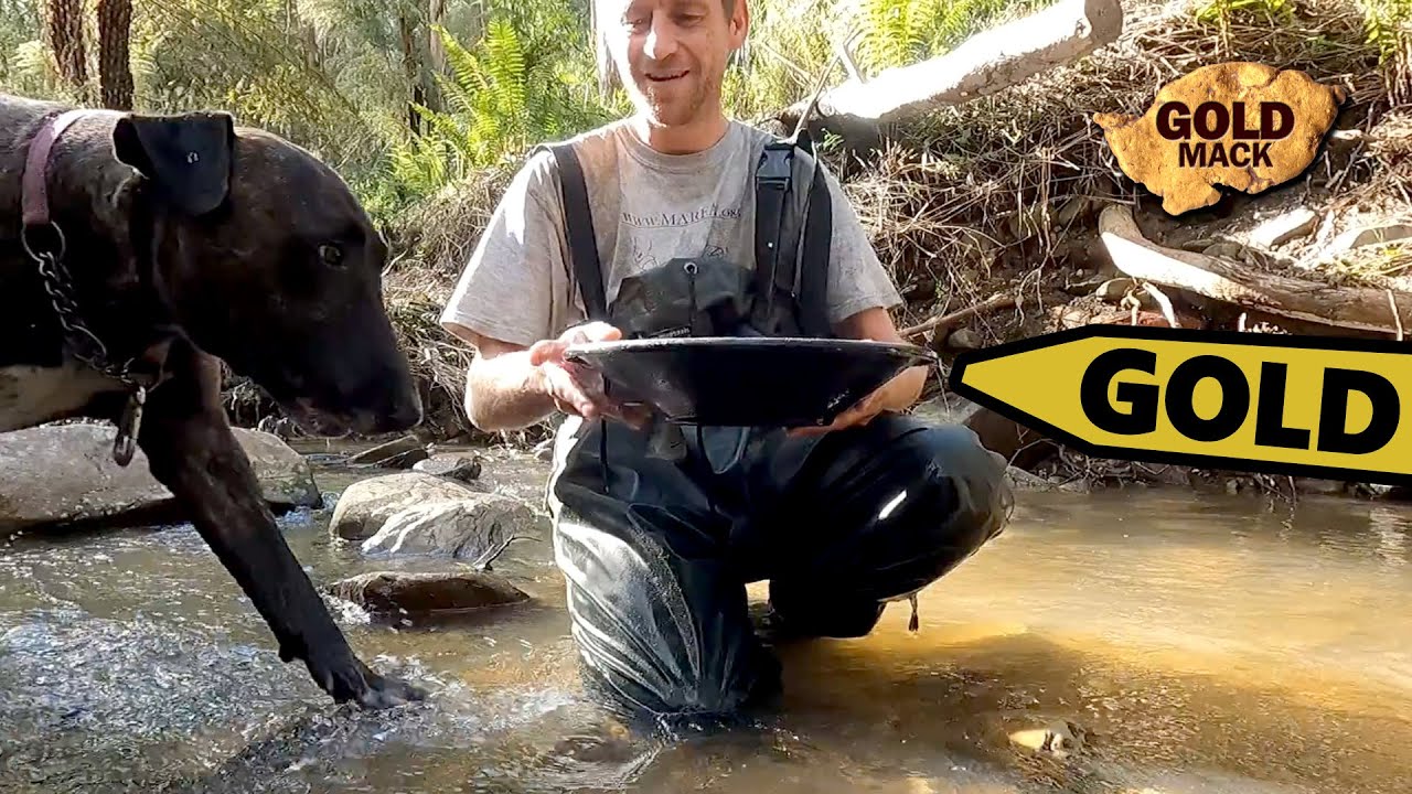 Gold Prospecting with the Highbanker Finding Gold